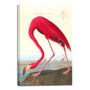 Impression sur toile suspendue Art Déco John <span class=keywords><strong>James</strong></span> Audubon Flamant rose américain et Heron bleu, décoration intérieure pour chambre, cuisine, salon, vente en gros - Product Image 2