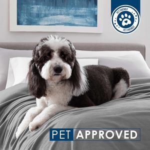 Vente en gros de couvertures en flanelle personnalisées, promotion, certifiées OEKO-TEX, écologiques, pour une utilisation en chambre toute l'année - Product Image 4