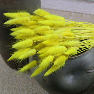 Accessoire de <span class=keywords><strong>fleuriste</strong></span> en gros vraies fleurs conservées séchées Lagurus éternel éternel lapin queue herbe pour décorations - Product Image 2