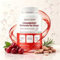 Tablet Kunyah Cuka Apel Rasa Berry Merah untuk Anjing, Harga Pabrik OEM ODM, Bebas Biji-bijian, dengan Vitamin dan Mineral, untuk Meningkatkan Imunitas