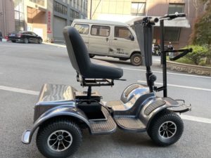 Chariot de golf/<span class=keywords><strong>buggy</strong></span> avec moteur 1000W, cadre en acier, contrôleur Curtis, porte-bagages avant pour handicapés - Product Image 3