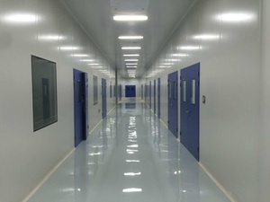 Porte battante en acier sur mesure pour salle blanche GMP, hermétique et coupe-vent, avec finition de surface - Product Image 2