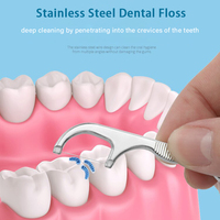 Ensemble de cure-dents en acier inoxydable, cure-dents réutilisables pour le nettoyage des dents, cure-dents portables, fil dentaire, nettoyant pour les dents, nettoyage buccal