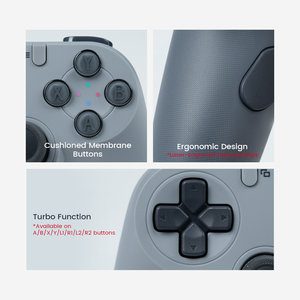 <b>Controller</b> TEGENARIA Lite Controles Mandos Para PC Switch 1&2 Wired Gamepad Android Hall Effect Retro Design Lite Retro - Product Image 6