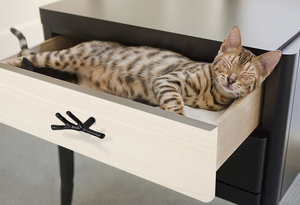 WEKIS New Arrival Vintage Dresser Pulls and Retro <b>Knobs</b> Handles Kitchen Handles <b>Black</b> Knurled Long Handle for Wardrobe - Product Image 4