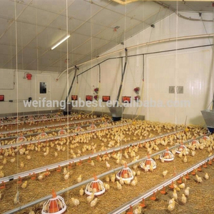 โรงเรือนเลี้ยงไก่แบบอัตโนมัติ U-best รุ่นใหม่ <span class=keywords><strong>แบบ</strong></span>พื้นเหล็ก - Product Image 3