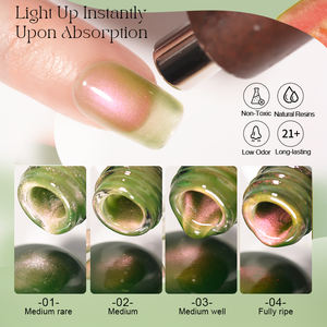 R S Nail Best Seller 16G Guava Cat Eye Gel 4 colores Italia Msds Manicure Uv Led Nail Gel Cat Eye Gel de larga duración de alta calidad - Product Image 2
