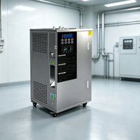 Générateur de vapeur électrique commercial 48KW 67kg/h 0.7MPa, économie d'énergie, chaudière en acier inoxydable 304 pour cuisine de restaurant commercial