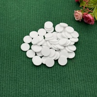 PE Parfüm Adsorpsiyon Tabletleri Fabrika Doğrudan Satış Araba Kokusu Alçı Plastik Katı Koku 10-20mL Kapasiteli Difüzör