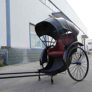 Carroza de Caballo Ligera de Dos Ruedas de Alta Calidad 2024, Carroza de Caballo Pony en Venta, Rickshaw - Product Image 5