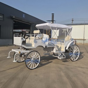 Charrette Électrique de Luxe Purement Blanche pour Visites Touristiques, Carrosse Royal Princesse, Carrosse de Mariage, Chariot à Chevaux - Product Image 2