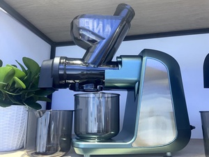 Extracteur de jus lent électrique multifonctionnel pour fruits et légumes frais Presse à froid professionnelle ménagère lente