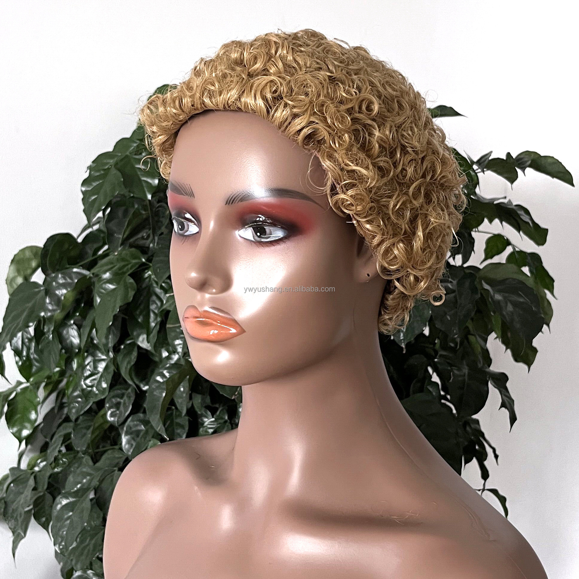 27 # (capelli umani)