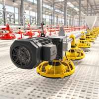 Ensemble complet d'équipements automatiques pour l'élevage de poulets de chair, ligne d'alimentation et d'abreuvement pour l'élevage au sol de volailles