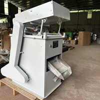 Machine de décontamination multifonctionnelle électrique SX pour céréales et riz, éliminateur de pierres et de sable par gravité, capacité 100-1000 kg/h, poussière de paille