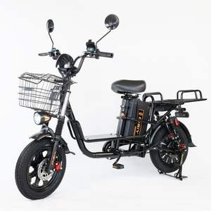 Vélo cargo électrique TANK 900 de sortie d'usine, pneus tout-terrain 16 pouces 3.0, batterie rechargeable amovible 60V, scooter électrique - Product Image 1