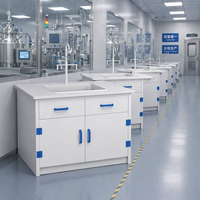 Évier de laboratoire professionnel SCEELAB en PP résistant aux produits chimiques avec robinet à 3 voies pour usage hospitalier, doté de dispositifs de sécurité