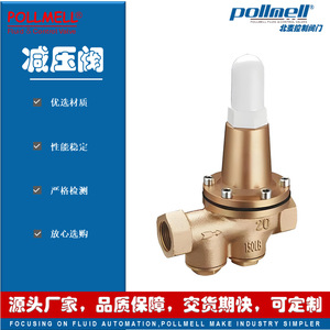 Régulateur de pression d'eau Pollmell 200P en laiton fileté, haute précision, grand débit - Product Image 4