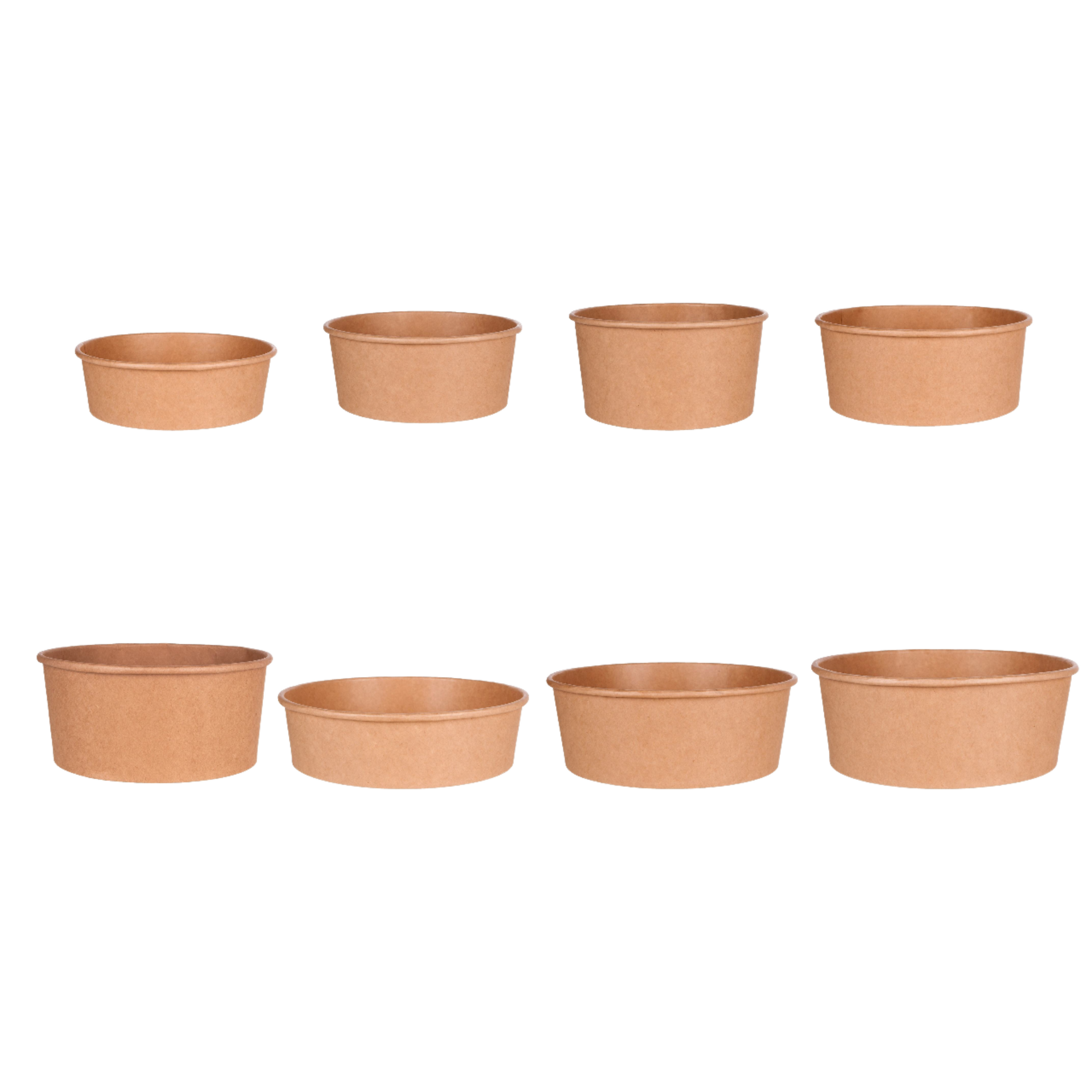 750ml Eco-Friendly Food Grade Disposable Reusable Paper Plates & Bowls for Pizza Snack Salad Cookie Takeaway Containers