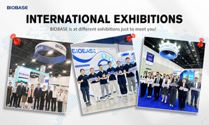 Lavadora <span class=keywords><strong>de</strong></span> Vajilla Automática <span class=keywords><strong>de</strong></span> Sobremesa BIOBASE BK-LW60, Desinfectante <span class=keywords><strong>de</strong></span> Vajilla Médica, <span class=keywords><strong>de</strong></span> 1.5ML a 100ML - Product Image 5