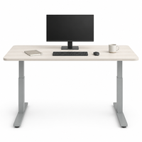 Base de bureau réglable en hauteur avec double moteur, cadre de bureau électrique pour une posture ergonomique au bureau