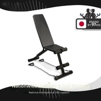 Banc de musculation multifonctionnel pour usage domestique, chaise de fitness non pliable, réglable sur plusieurs niveaux pour les exercices abdominaux