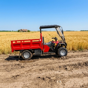 ATV FKL Premium <span class=keywords><strong>de</strong></span> Cuatro Ruedas, Construido para Condiciones Agrícolas, Chasis Sólido, Potente Rendimiento, Larga Vida Útil, Ideal para Huertos y Granjas - Product Image 3