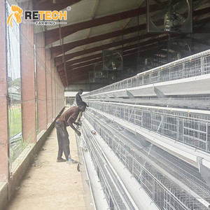 Nhúng Nóng Mạ Kẽm Pin Gia Cầm Trại Một Khung Hướng Dẫn Sử Dụng Lớp Lồng Gà - Product Image 5