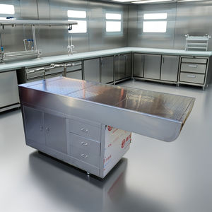 Mesa de Procedimientos Veterinarios para Mascotas, Mesa de Tratamiento de Acero Inoxidable Antioxidante para Exámenes, Inyecciones y Cuidado Médico de Mascotas - Product Image 3