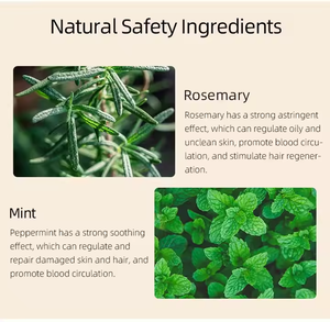 Trattamento del cuoio per la crescita dei <span class=keywords><strong>capelli</strong></span> alla menta di rosmarino olio essenziale per il diradamento dei <span class=keywords><strong>capelli</strong></span> rinforza e nutre riduce la <span class=keywords><strong>caduta</strong></span> dei <span class=keywords><strong>capelli</strong></span> OEM/ODM - Product Image 2