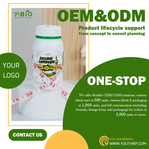 Suplemen Makanan Kapsul Garcinia Cambogia Pendukung Penurunan Berat Badan untuk Manajemen Tubuh Sehari-hari Tersedia dalam Berbagai Kelompok Suplemen Herbal - Product Image 4