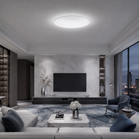 Lámpara de Techo LED Resistente a la Humedad para Adaptación a Entornos Complejos, para Distribuidores Regionales, Iluminación de Baños y Balcones