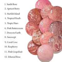 Échantillon gratuit vente en gros palette de maquillage blush personnalisée blush au four rose minéral naturel éclaircissant contour bronzant palette de blush
