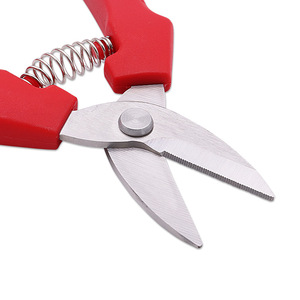 Nice <b>Pruning</b> Shears Stainless Steel 35mm Straight Head Garden <b>Tool</b> For <b>Tree</b> Fruit Trimming - Product Image 2