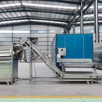 Ligne de production automatique de friteuses à légumes avec acier inoxydable de qualité alimentaire, capacité de 300 kg/h pour les chips de pommes de terre, les frites surgelées