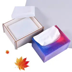Mascota DIY cristal epoxi molde caja de pañuelos necesidades diarias servilleta coche Silicona