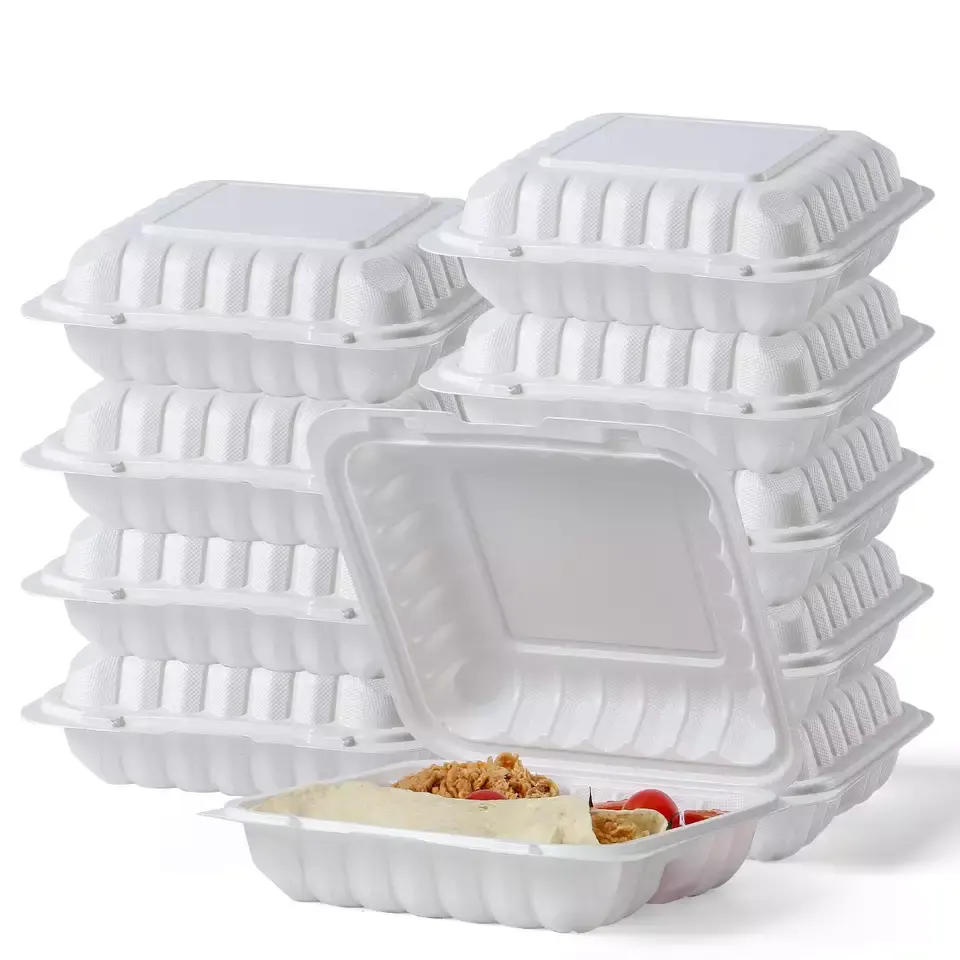 Box Lunch Containers Plastic Disposable Boxes Bento Compartment Storage Meal With Takeaway For Biodegradable To Food Container