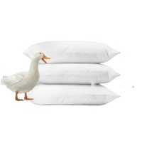 Vente en gros de haute qualité de luxe 100% duvet de plumes d'oie de canard oreiller de couchage d'hôtel 5 étoiles