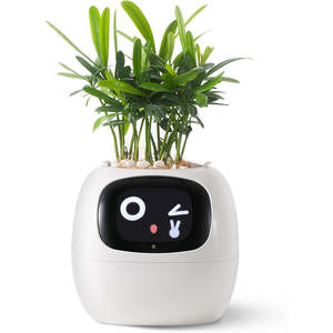<span class=keywords><strong>Maceta</strong></span> Inteligente Ivy AI con Robot Inteligente de Compañía para Plantas de Interior, <span class=keywords><strong>Maceta</strong></span> Elegante para Plantas, Decoración para el Hogar - Product Image 2
