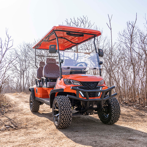 Street 4 Passenger Offroad Golf Vehicle Outdoor Hunting Resort - Product Image 2
