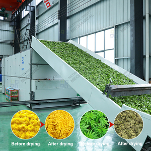 Séchoir industriel pour sargasses, microalgues, spiruline, algues marines, paille, herbe, chanvre et feuilles de fleurs - Product Image 1