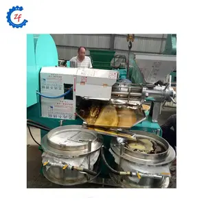 Small soya almond oil pressing machine