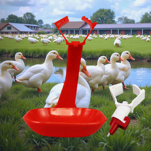 Bebedero para Aves <span class=keywords><strong>de</strong></span> Corral con Boquilla <span class=keywords><strong>de</strong></span> Acero Inoxidable, Compatible con Tubería Cuadrada <span class=keywords><strong>de</strong></span> 22 mm, Línea <span class=keywords><strong>de</strong></span> Agua, Bebedero Automático para Pollos, Patos, Gansos y Codornices - Product Image 4