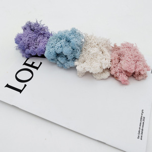 Vente en gros de mousse de Lichen et de renne stabilisée de haute qualité pour la décoration des murs de fleurs mousse naturelle préservée - Product Image 6