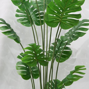 <span class=keywords><strong>Plante</strong></span> artificielle verte très réaliste, grande et <span class=keywords><strong>tendance</strong></span>, de type Canna à épines, pour la décoration de salon, de fenêtre et d'intérieur - Product Image 5