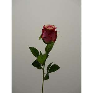 MILAN SPRAY BUD 70CM FU - Product Image 1