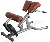 Banc d'extension dorsale pour l'hyperextension du dos, équipement d'exercice commercial, capacité de machine d'extension dorsale