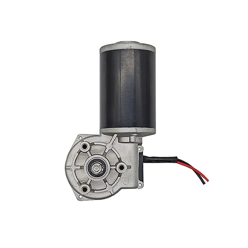 Motor de engranaje de gusano, cepillo de dientes eléctrico de 12v y 24v, microcepillo de accionamiento permanente, Motor de cepillo de CC, 63L/R BLACK IE 1