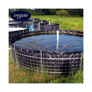 Pond liner hdpe geomembrane 1mm/2mm philippines aquaculture large biofloc fish farming tank membrane black