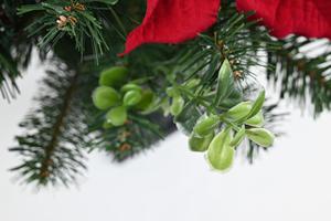 Fashion Design Decorative Christmas Party Artificial Christmas <b>Tree</b> Natural Artificial Christmas <b>Tree</b> - Product Image 3